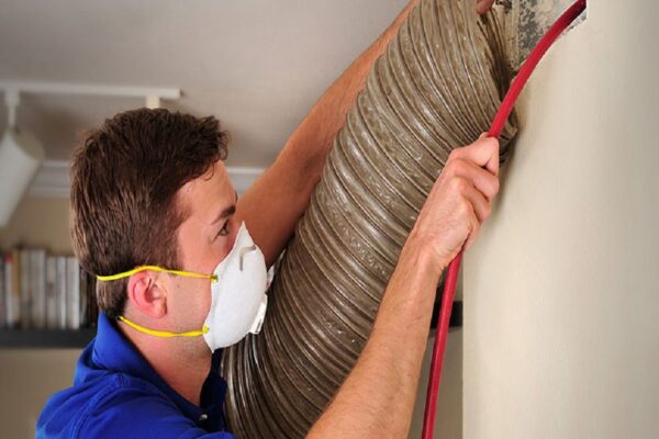 How To Remove Pet Odor From Air Ducts