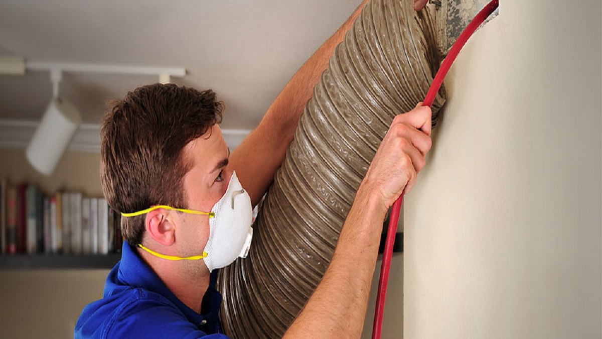 How To Remove Pet Odor From Air Ducts