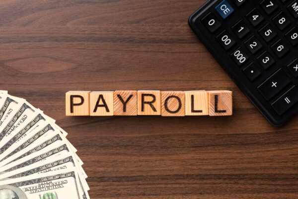 Understanding Payroll Services Pricing A Guide to Payroll Outsourcing in South Africa