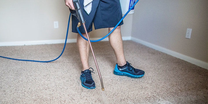 cleaning rugs to remove odor