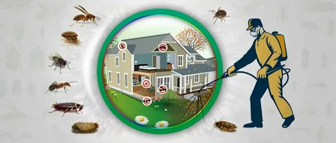 Effective Pest Control in Lahore: Finding Solutions Near You