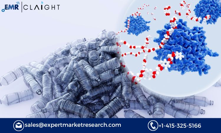 Asia Pacific Detergent Grade Enzymes Market