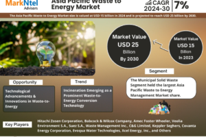 Asia Pacific Waste to Energy Management Market