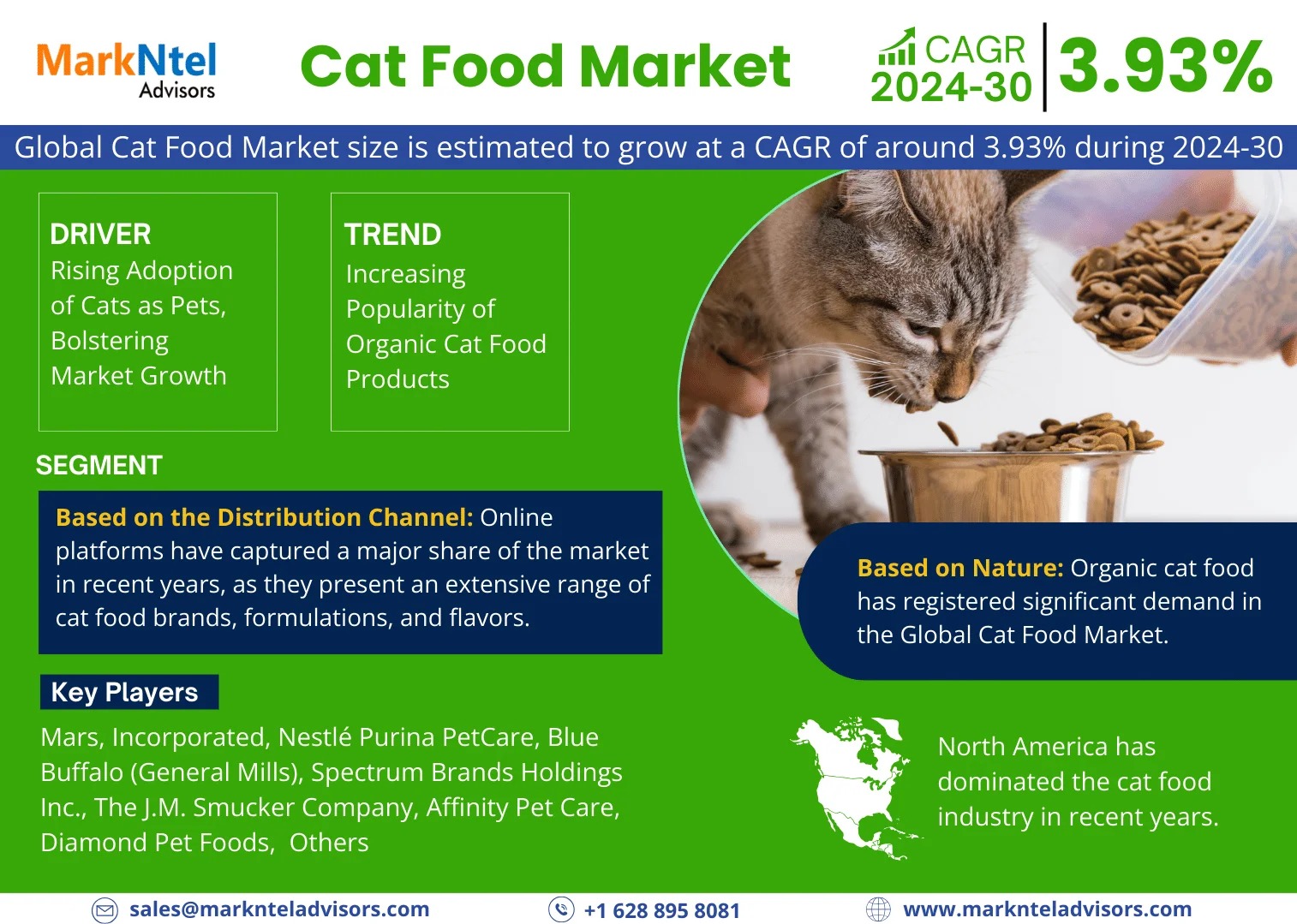 Cat Food Market