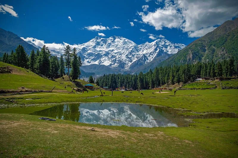 tour to Fairy Meadows