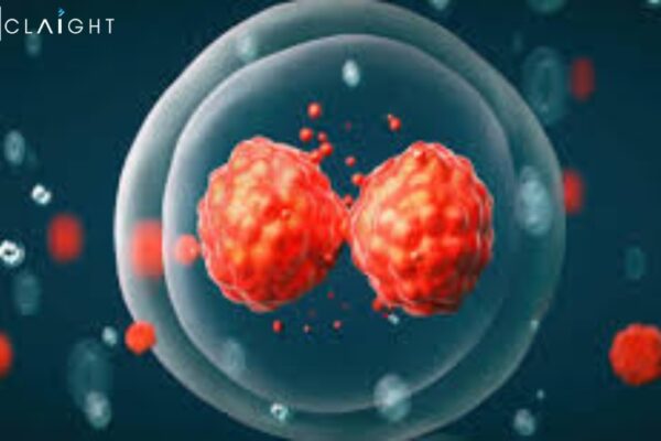 Global Stem Cell Assay Market