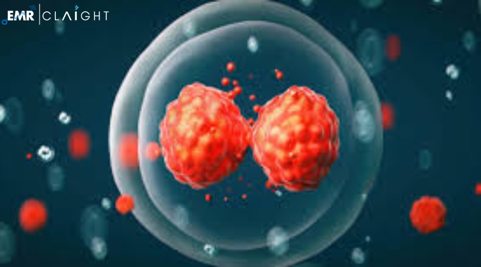 Global Stem Cell Assay Market