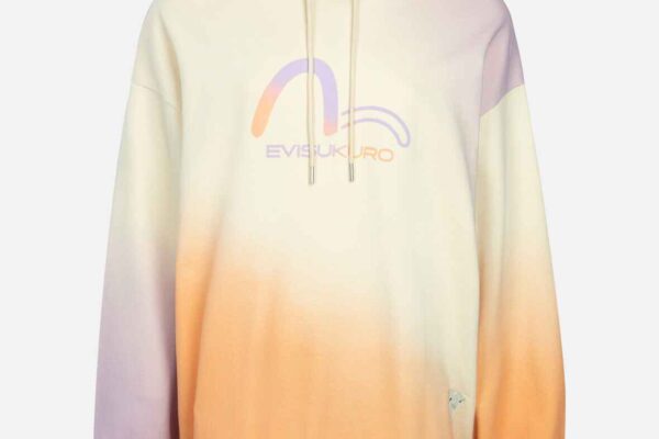 Gradient Flocking Printed Seagull Oversized Hoodie (1)