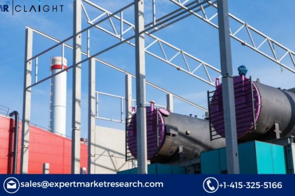 Global Industrial Biomass Boiler Market