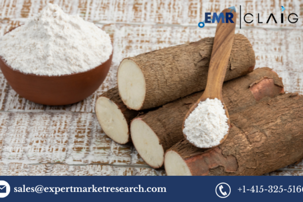 Native Starch Market