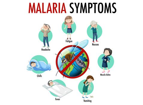 What is the cause of the malaria disease?