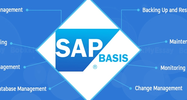 Step By Step Guide To SAP BASIS Backup And Recovery