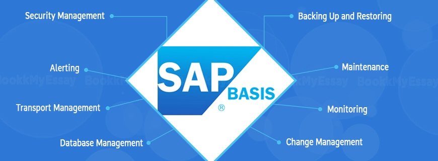 Step By Step Guide To SAP BASIS Backup And Recovery