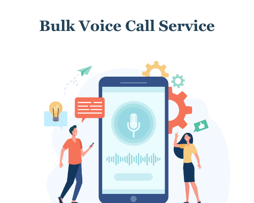 voice calls