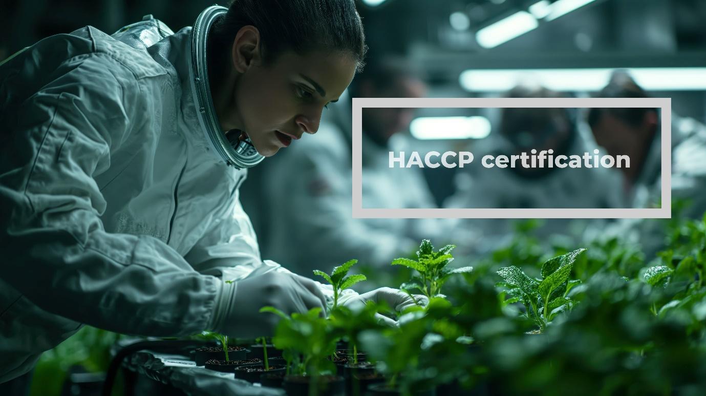 HACCP certification