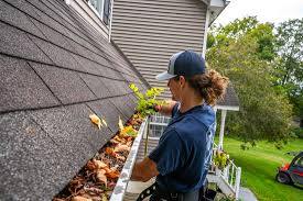 Gutter Cleaning Services