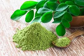 moringa leaf powder manufacturers in India