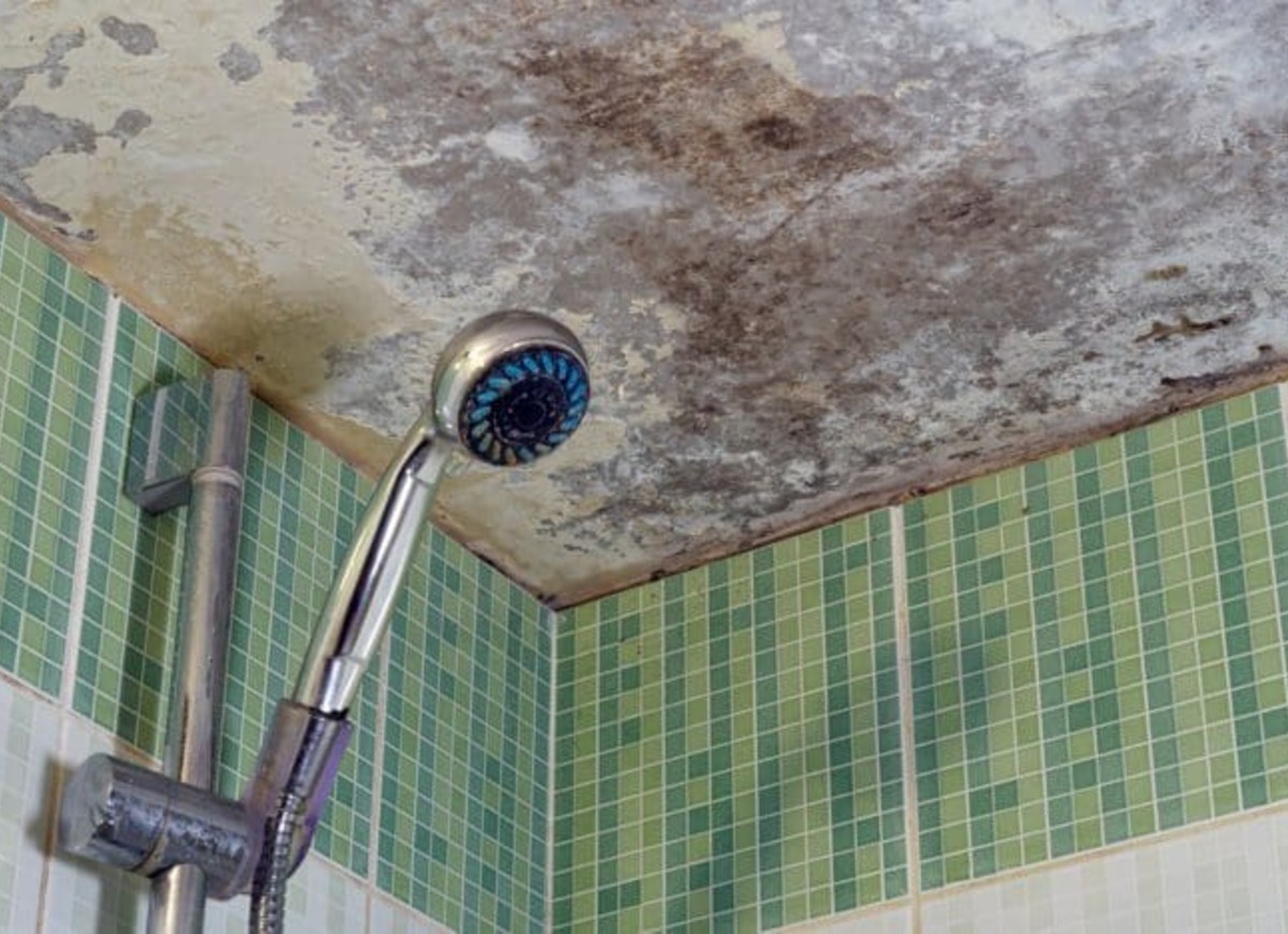 remove mold from shower