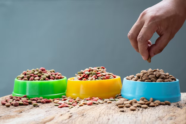 best cat food brands