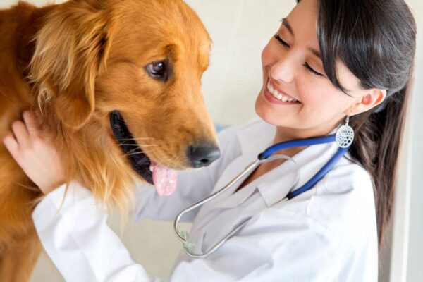 pet hospital in Regina