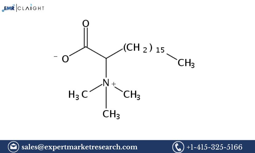 Cetyl Betaine Manufacturing Plant Project Report