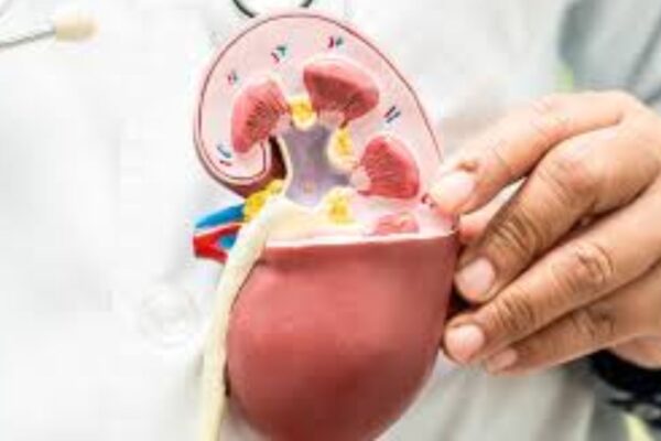 kidney transplant images