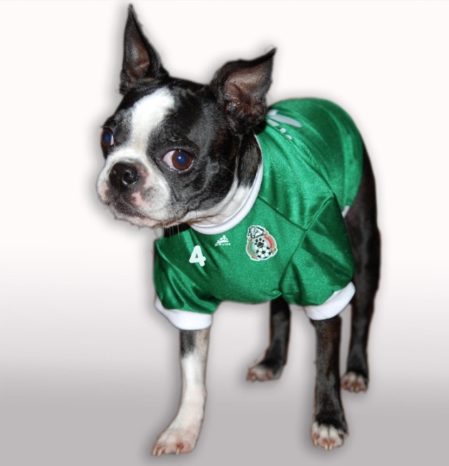 mexico dog jersey