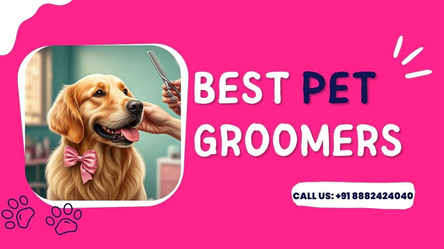 pet grooming