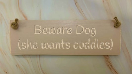 Beware Dog (she wants cuddles) – 30cm Rustic Wooden Sign