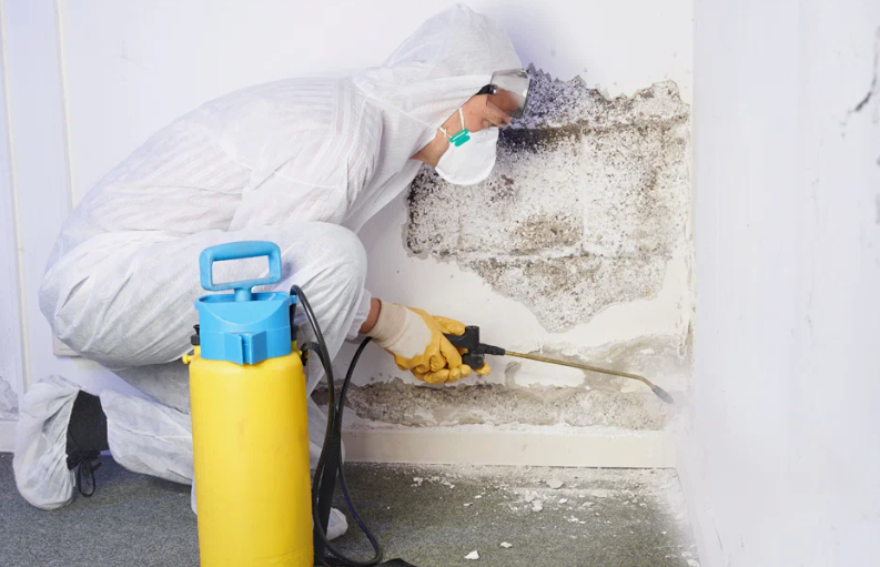 Learn what mold remediation insurance covers and how to file a claim. Discover key details about coverage, process steps, and tips for handling mold damage claims effectively.