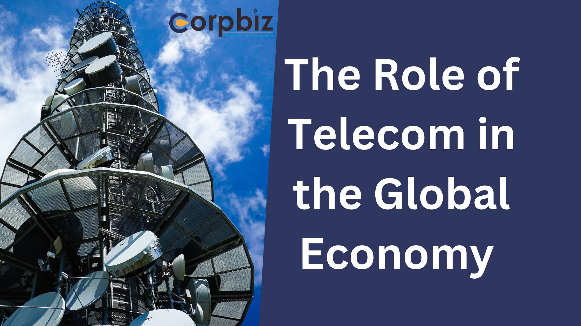 The Role of Telecom in the Global Economy