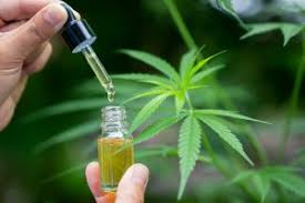 CBD Tinctures